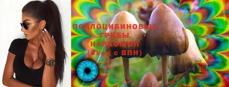 Псилоцибиновые грибы Magic Shrooms  МЕГА маркетплейс  Беслан  как найти закладки 